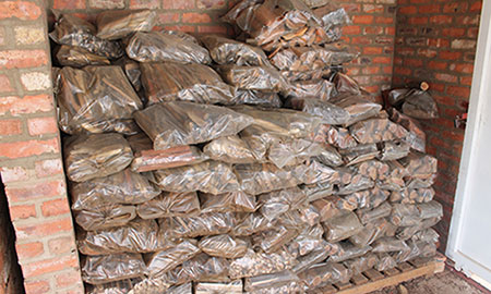 Red Saligna Firewood