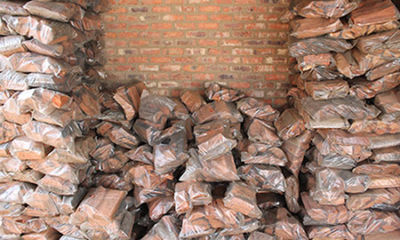 Red Saligna Firewood